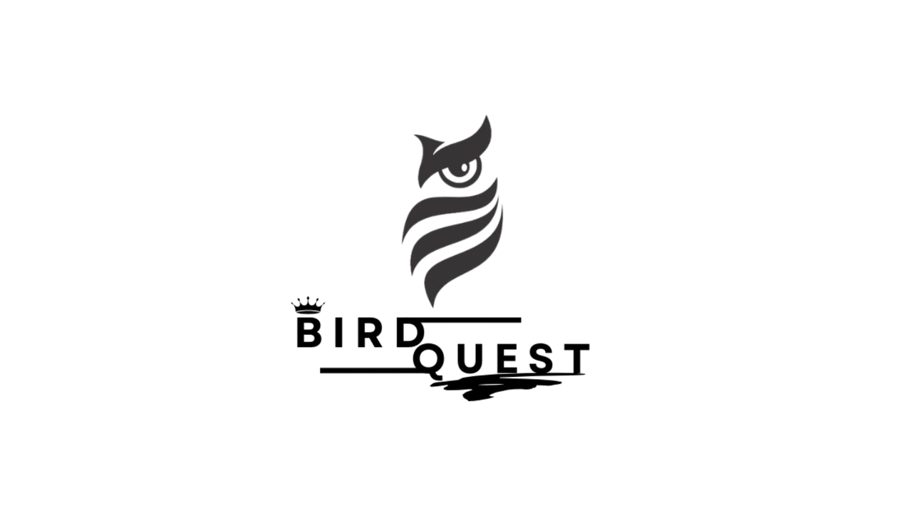 BirdQuest
